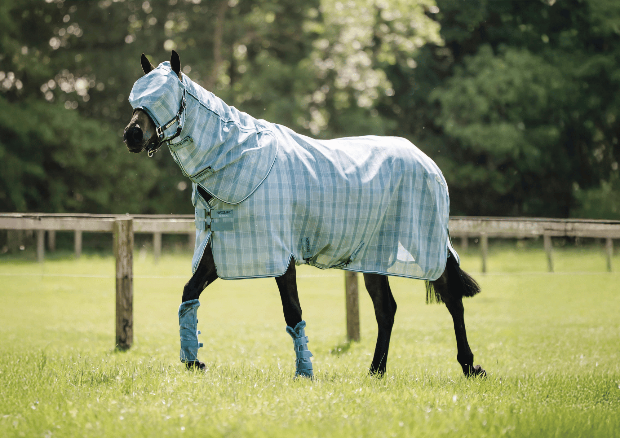 Horseware Newmarket Dynasty Collection