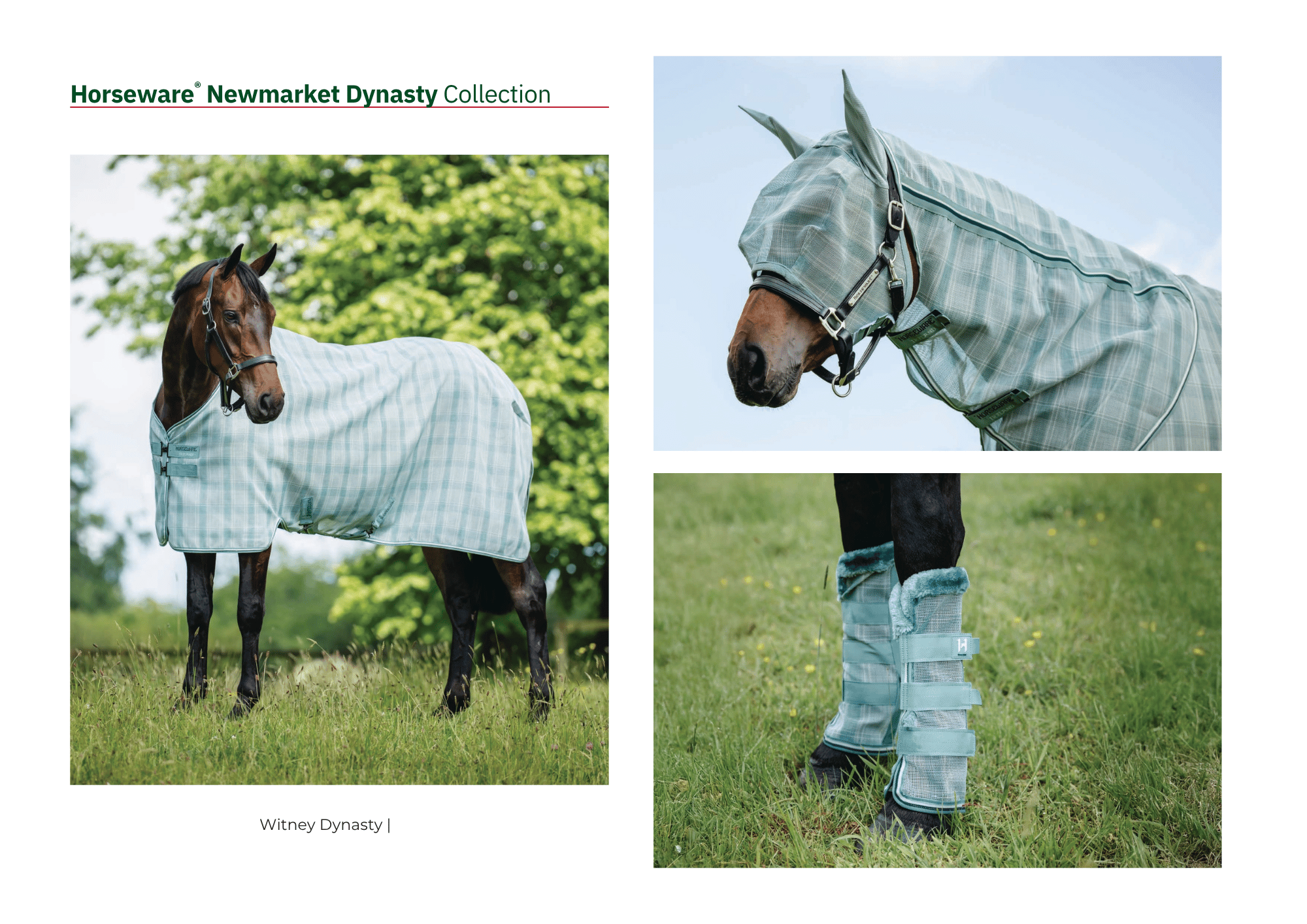Horseware Newmarket Dynasty Collection