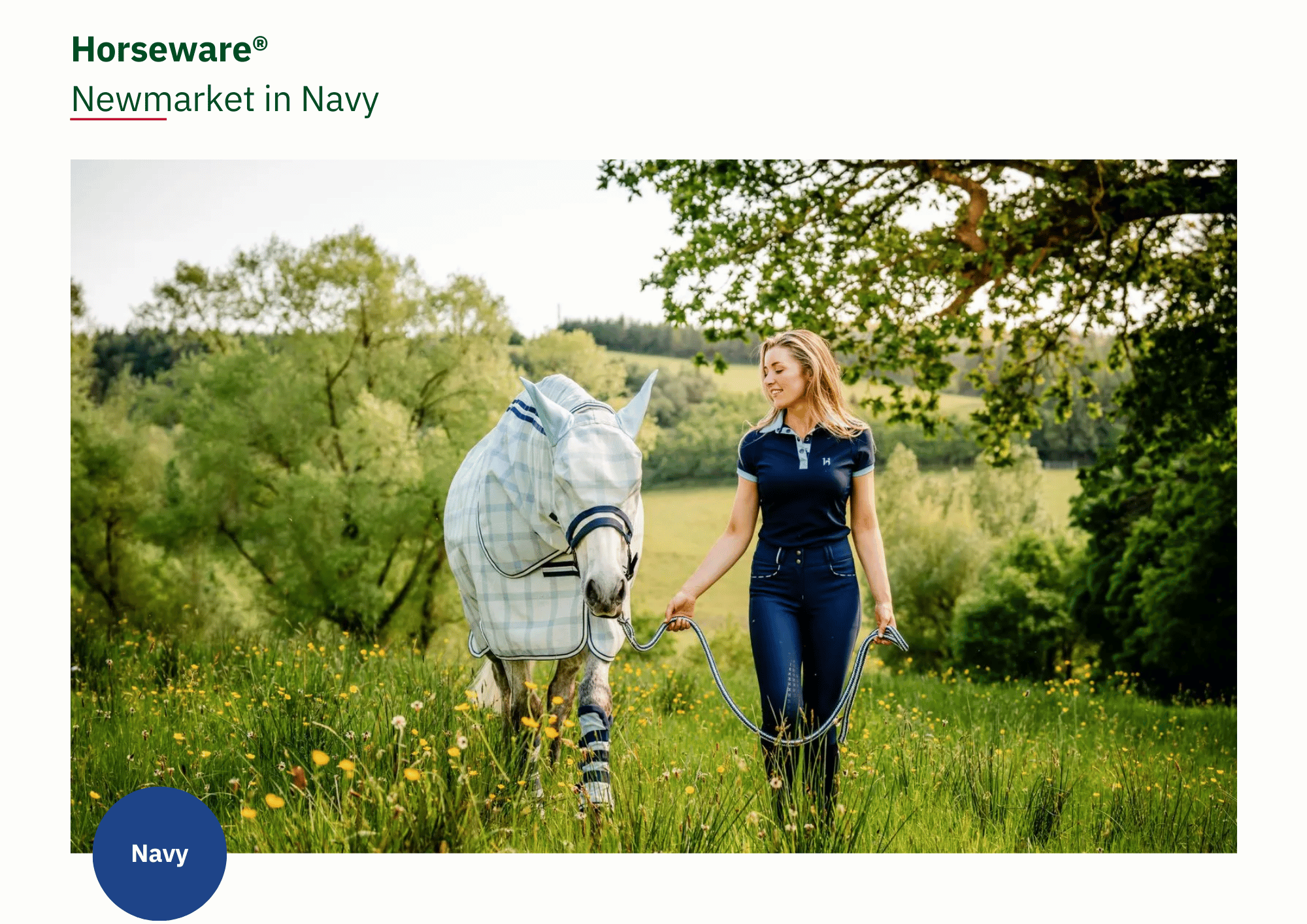 Newmarket - Fly Protection