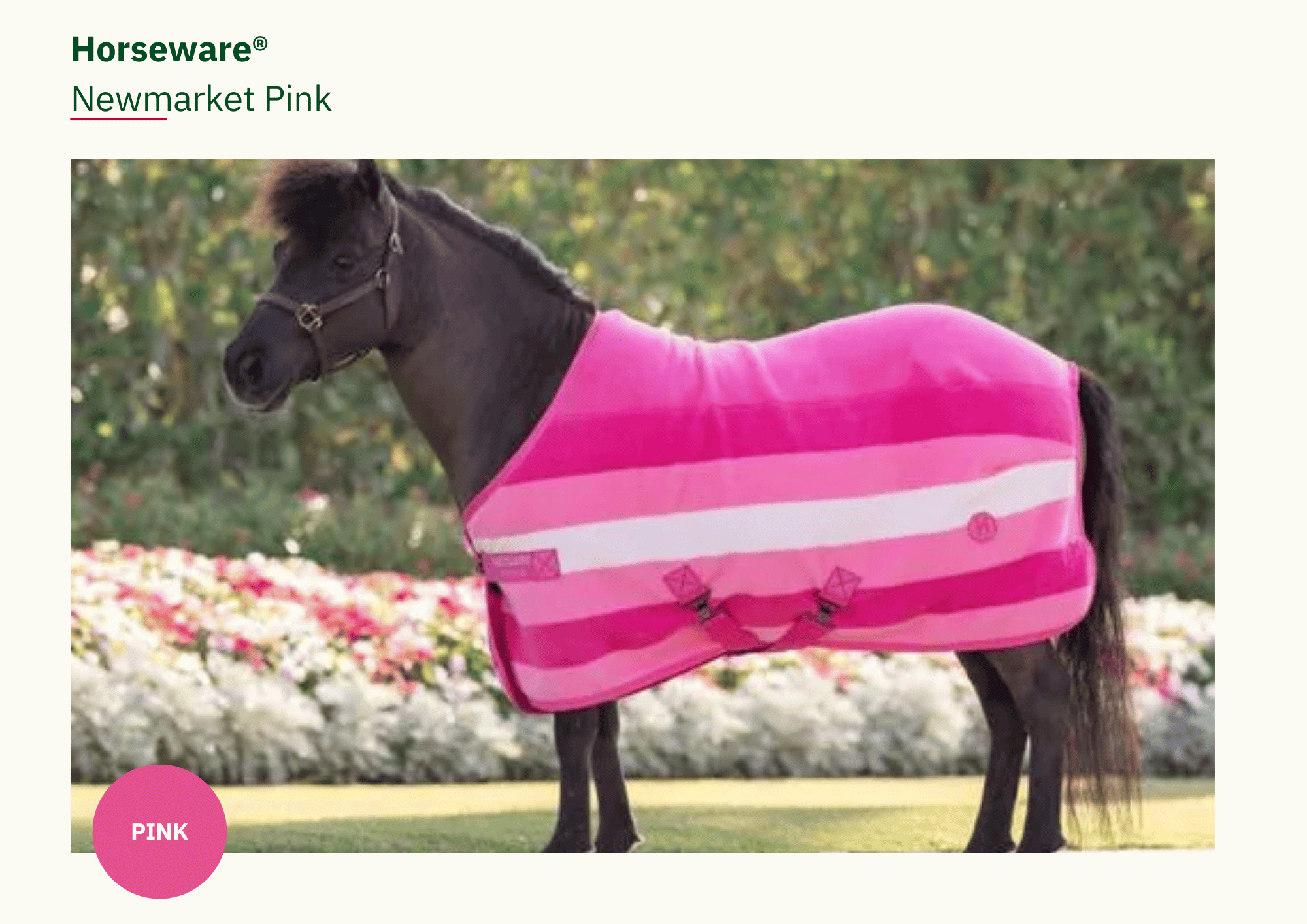 Newmarket - Pink