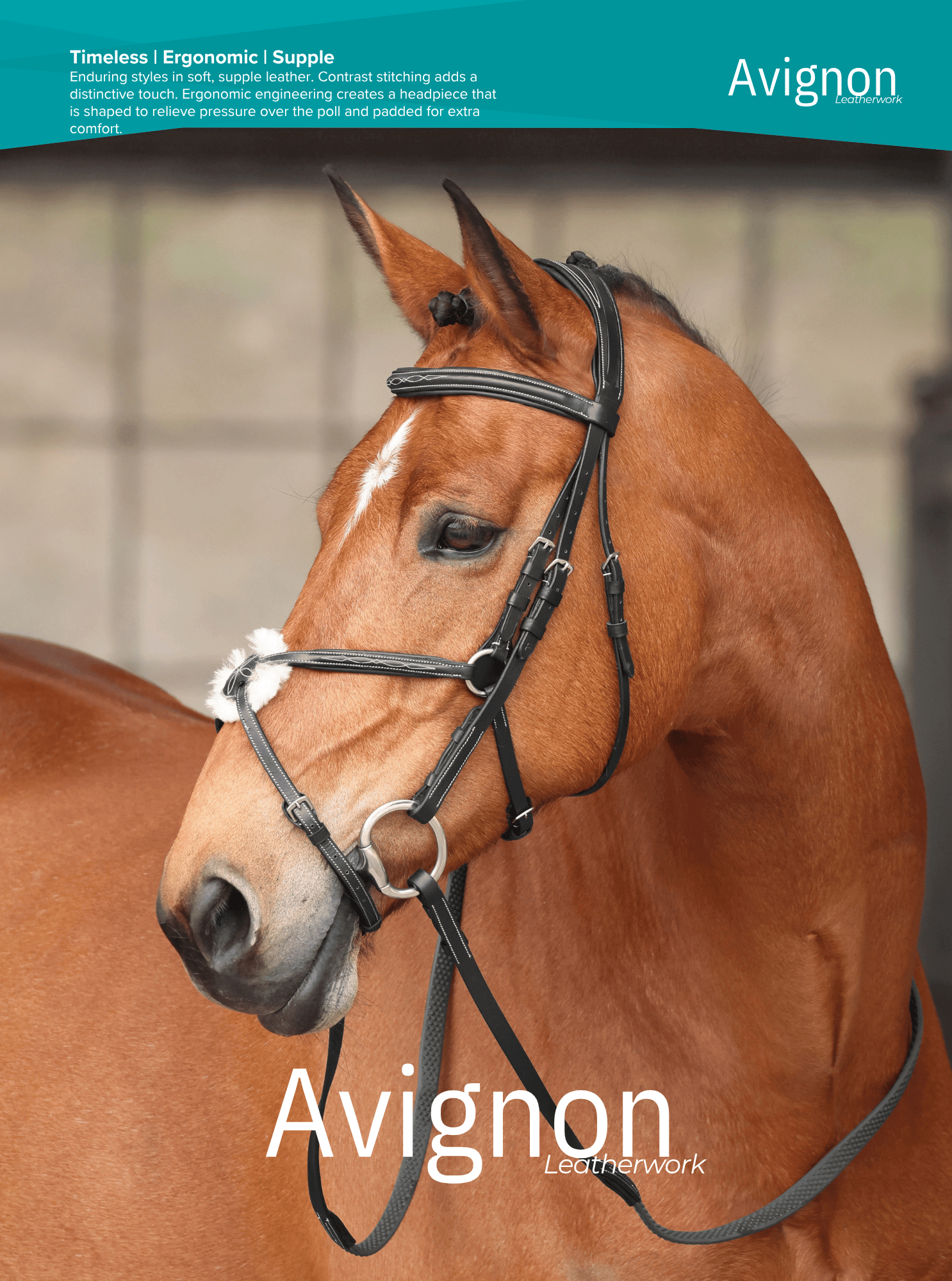 Shires Avignon