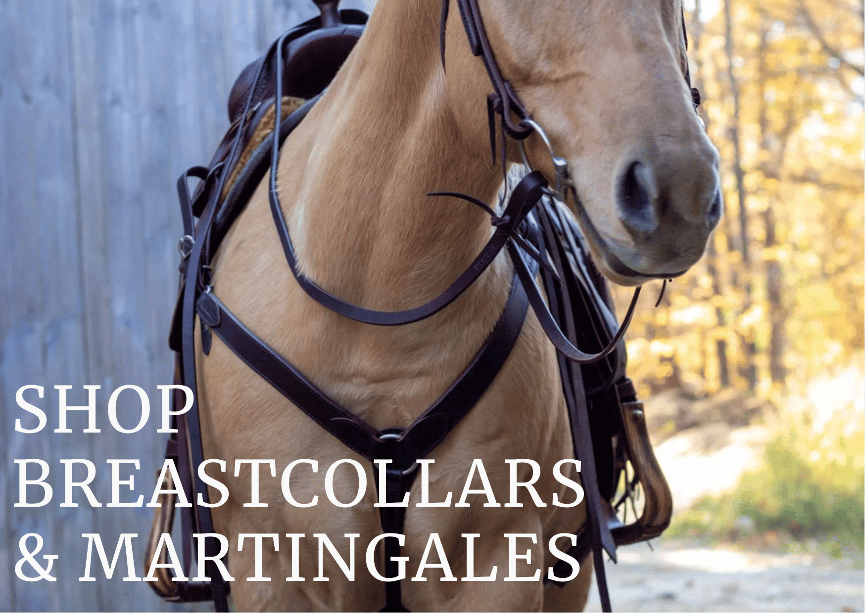 Breastplates & Martingales
