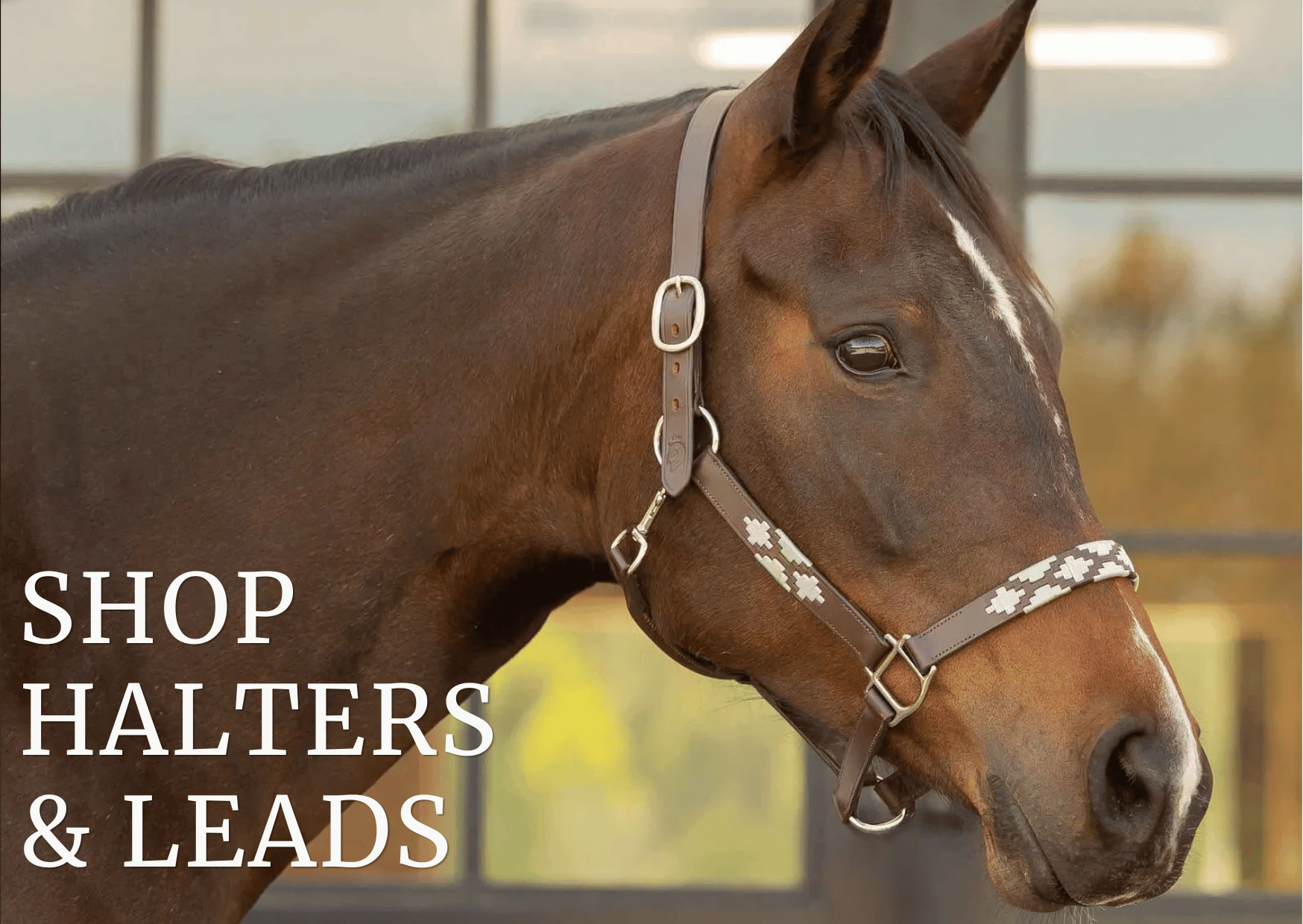 HALTERS & LEADS