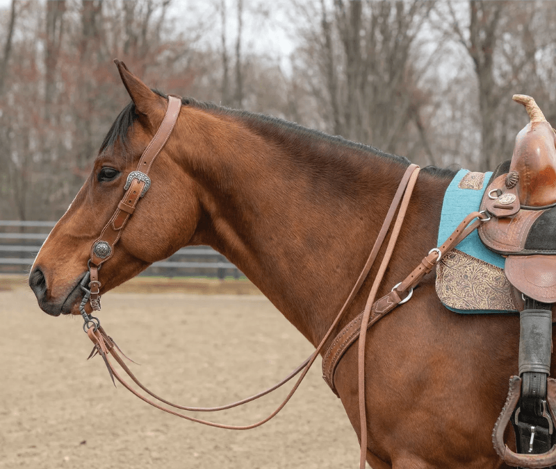 Weaver Contoured Ear Headstall
