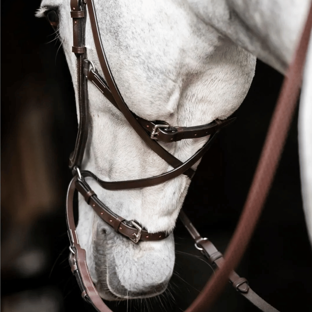 Horseware Micklem Bitless Bridle