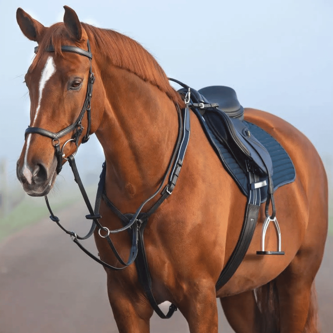 Rambo Micklem Breastplate w/ Martingale