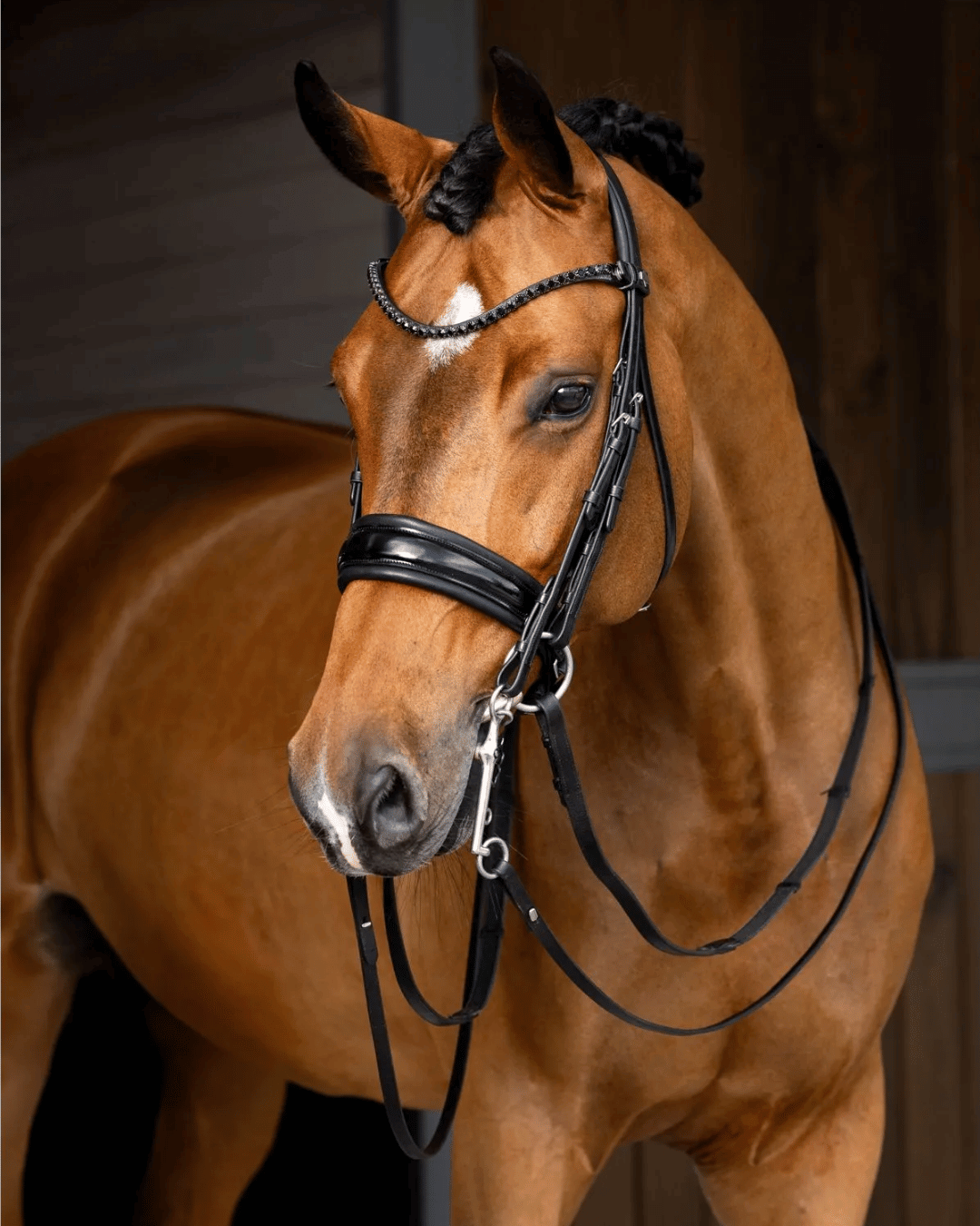 English Bridles