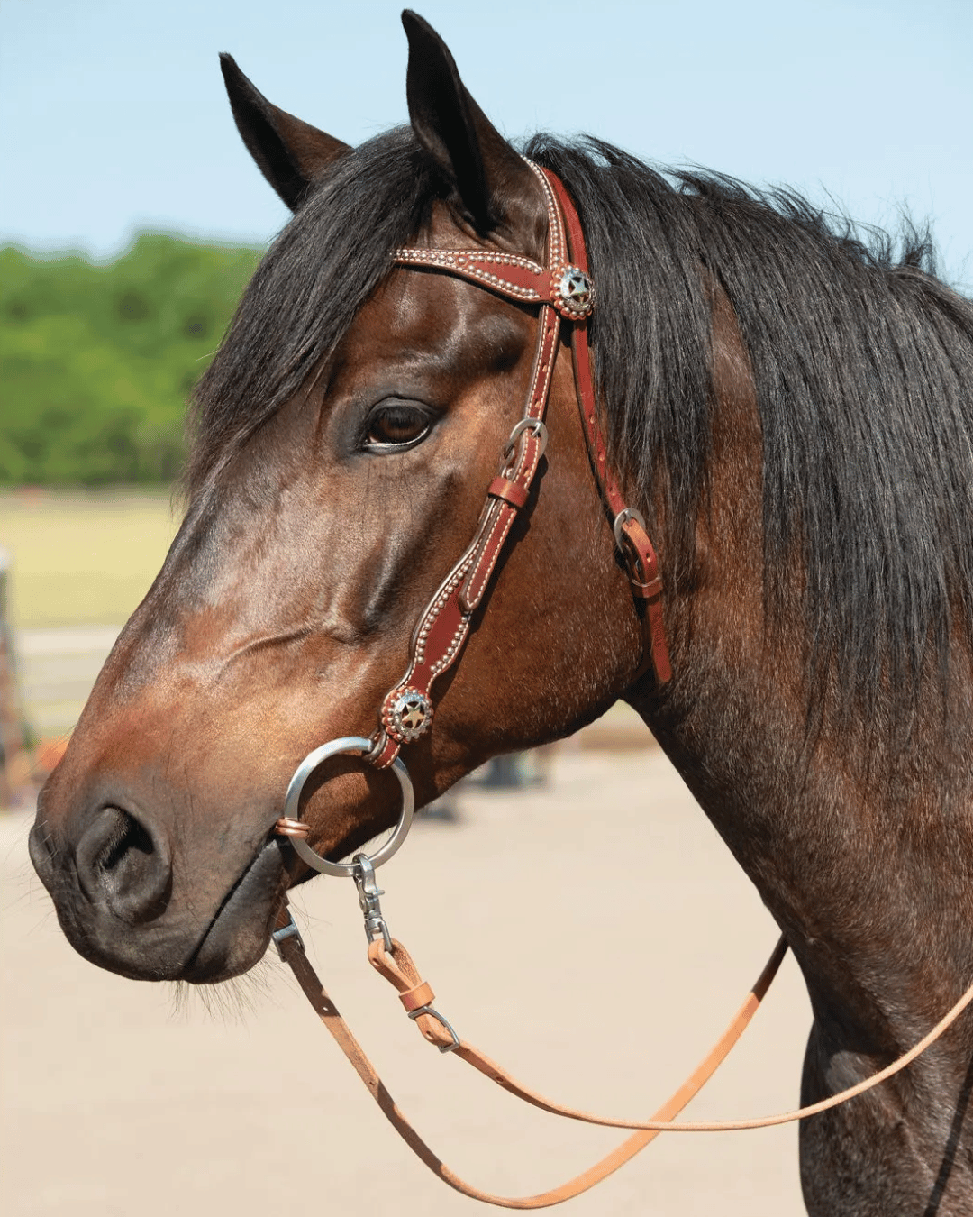 Western Bridles & Reins
