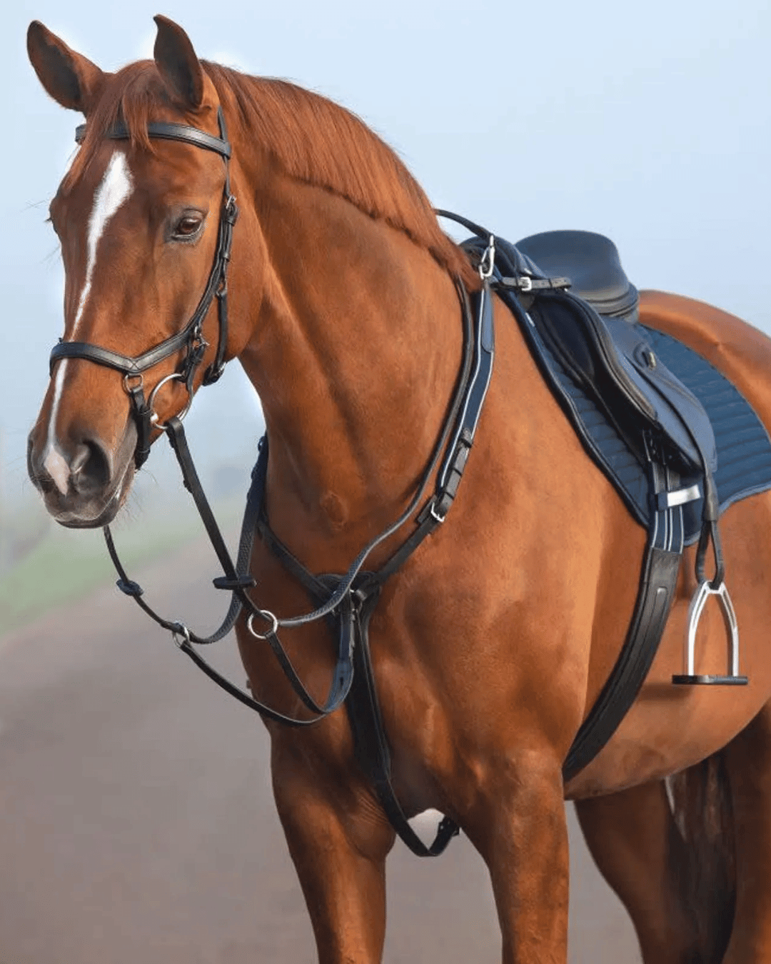 English Breastcollars & Martingales