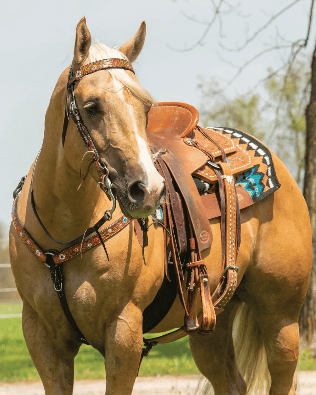 Western Breastcollars & Martingales