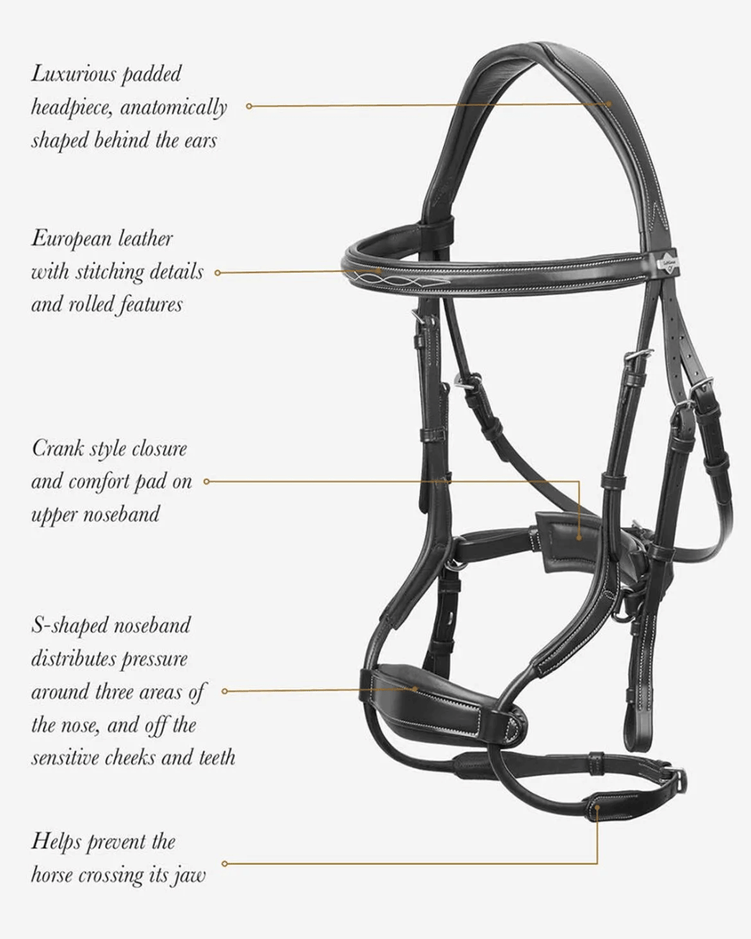 LeMieux Kudos Clear Arc Bridle