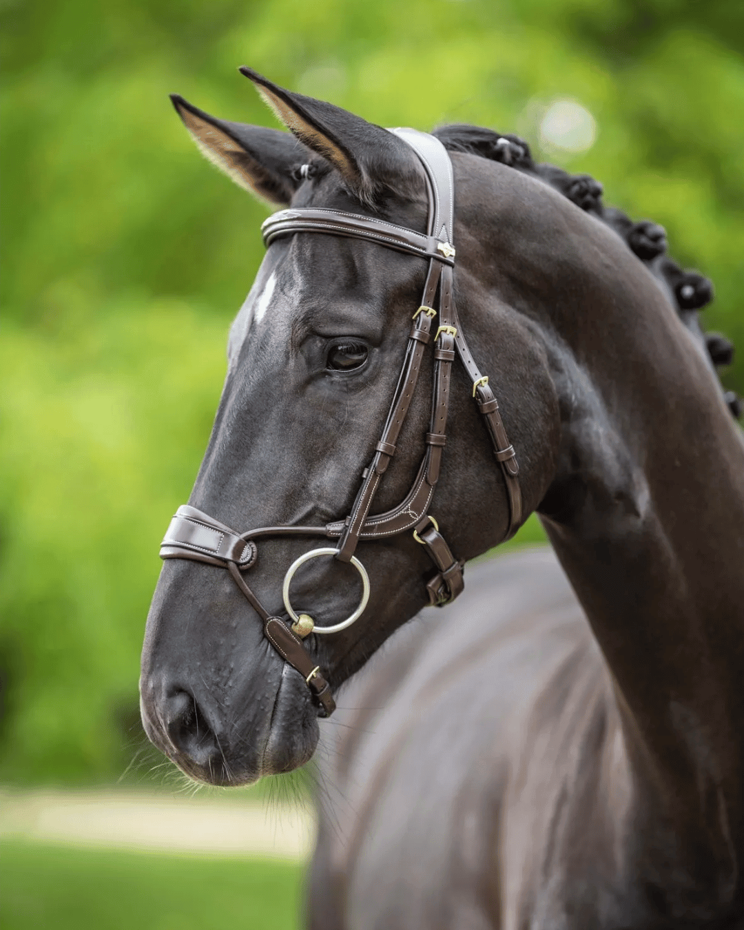 LeMieux Kudos Clear Arc Bridle