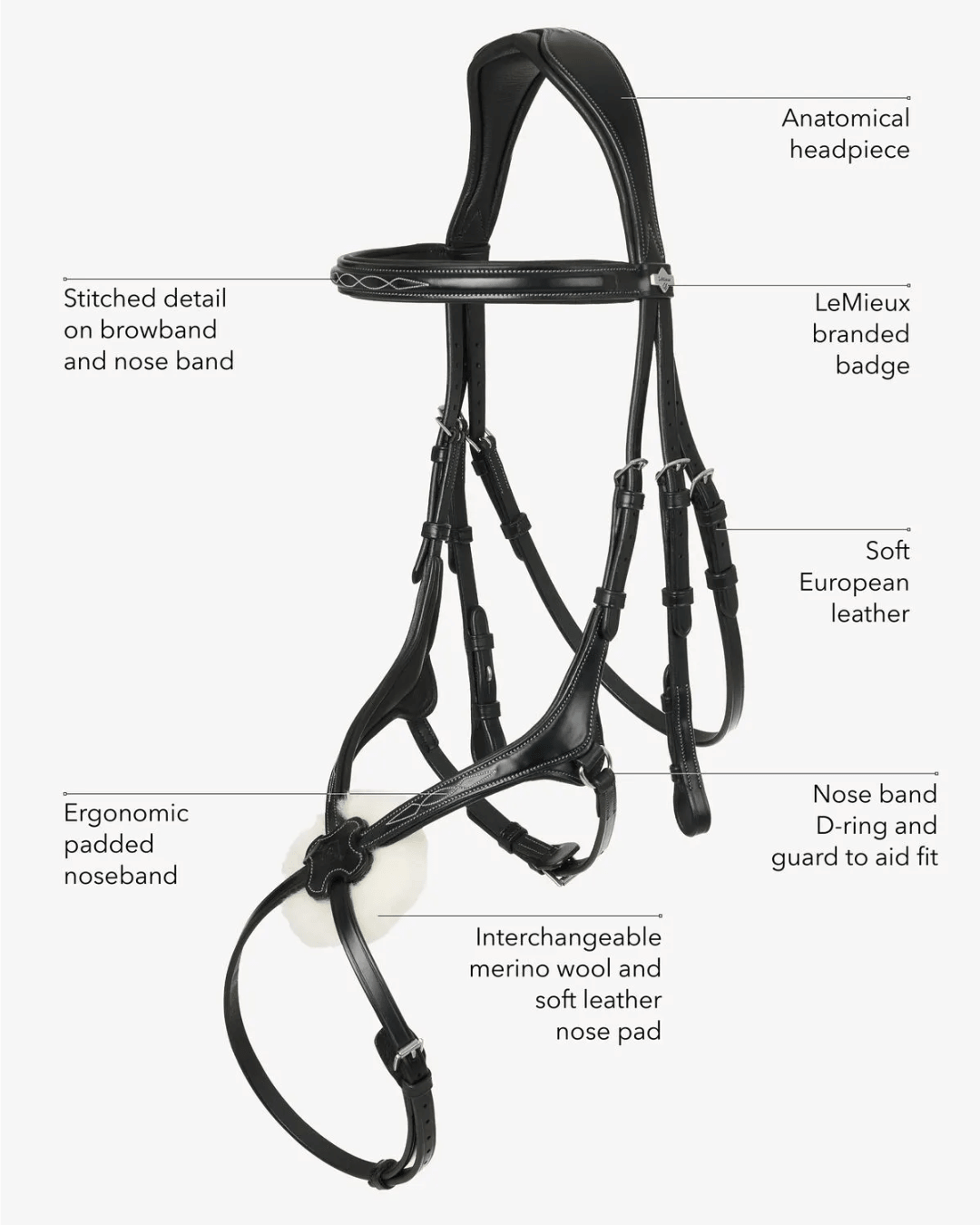 LeMieux Kudos Grackle Bridle