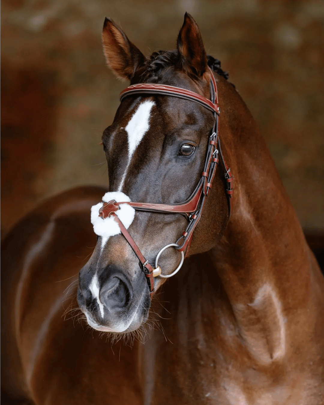 LeMieux Kudos Grackle Bridle