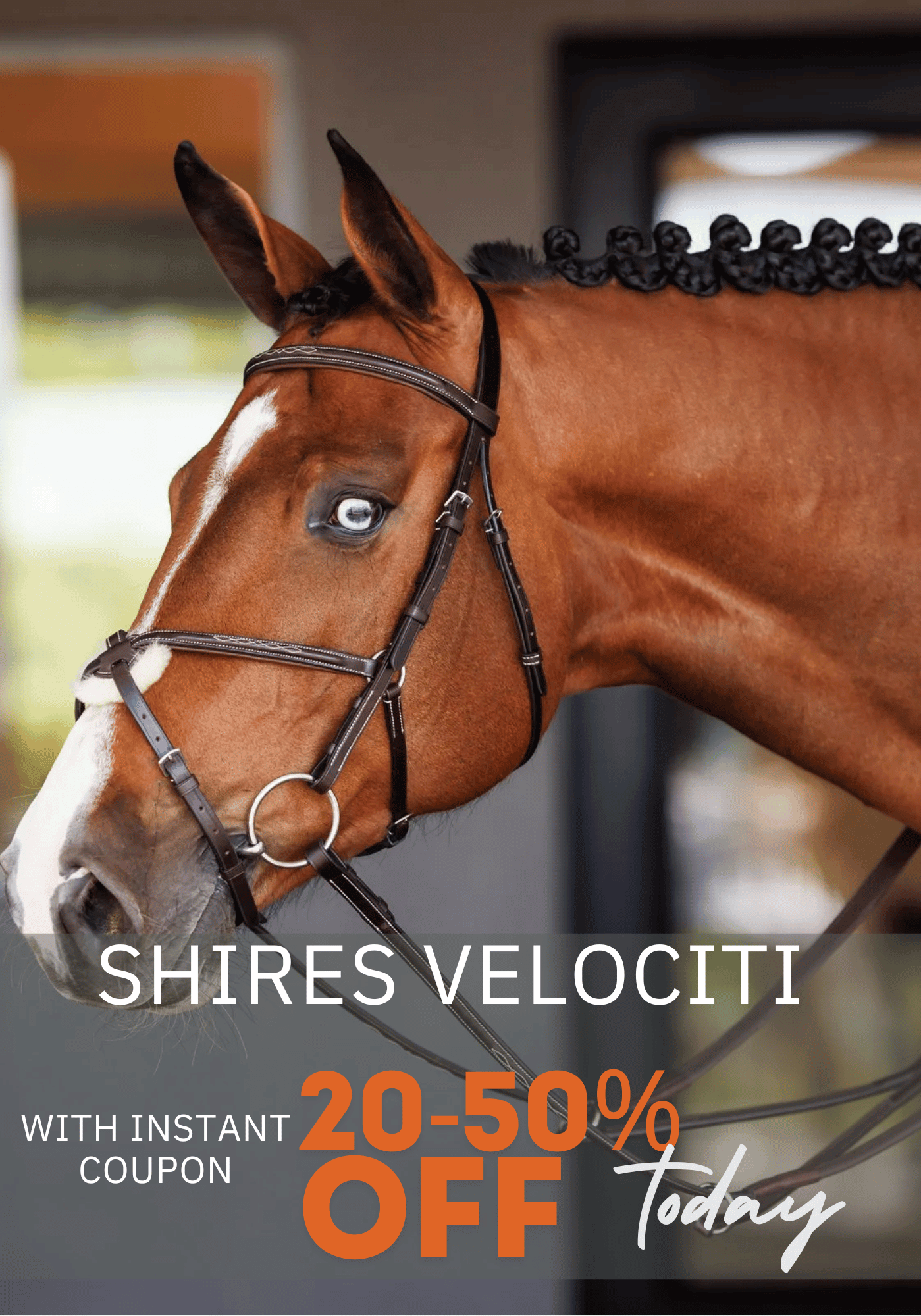 Shires Velociti