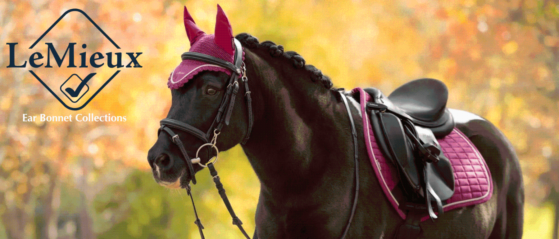 LeMieux Ear Bonnet Collections