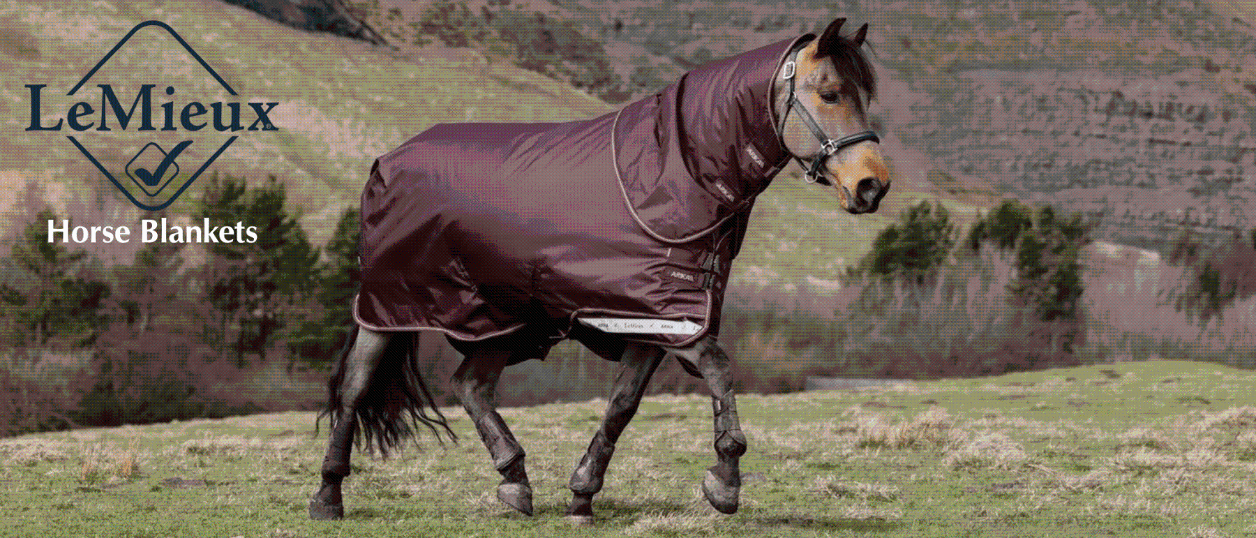 Shop LeMieux Horse Blankets