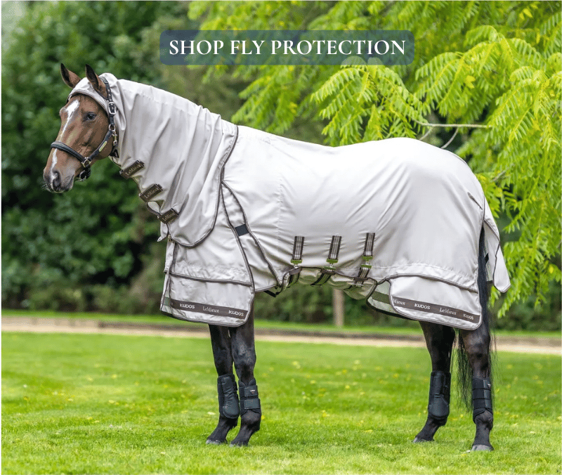 Shop LeMieux Fly Protection