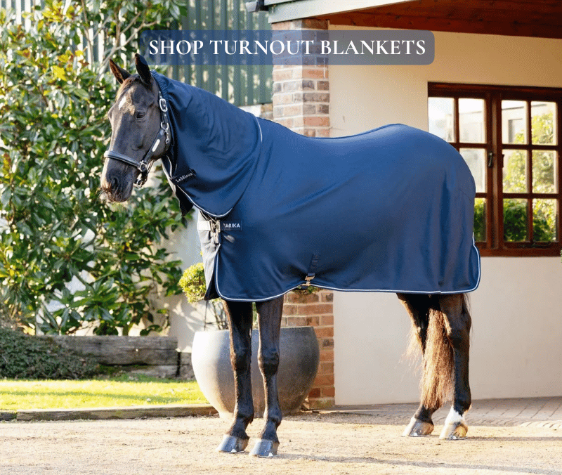 Turnout Blankets