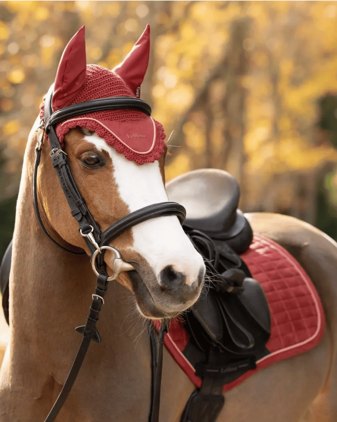 Classic Ear BonnetCollection