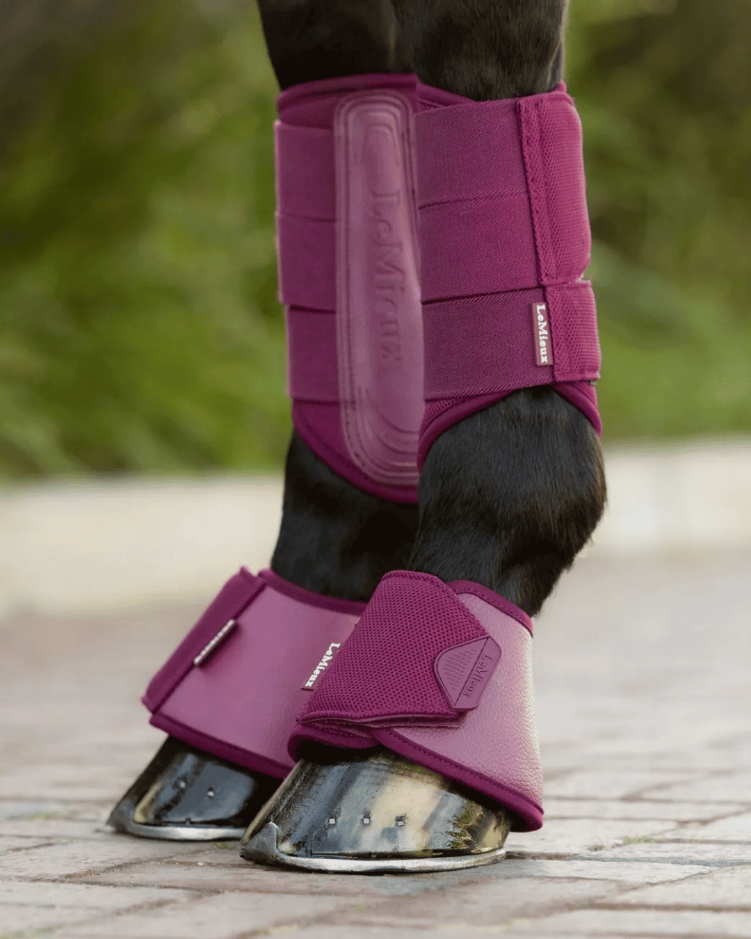 LeMieux Horse Boots