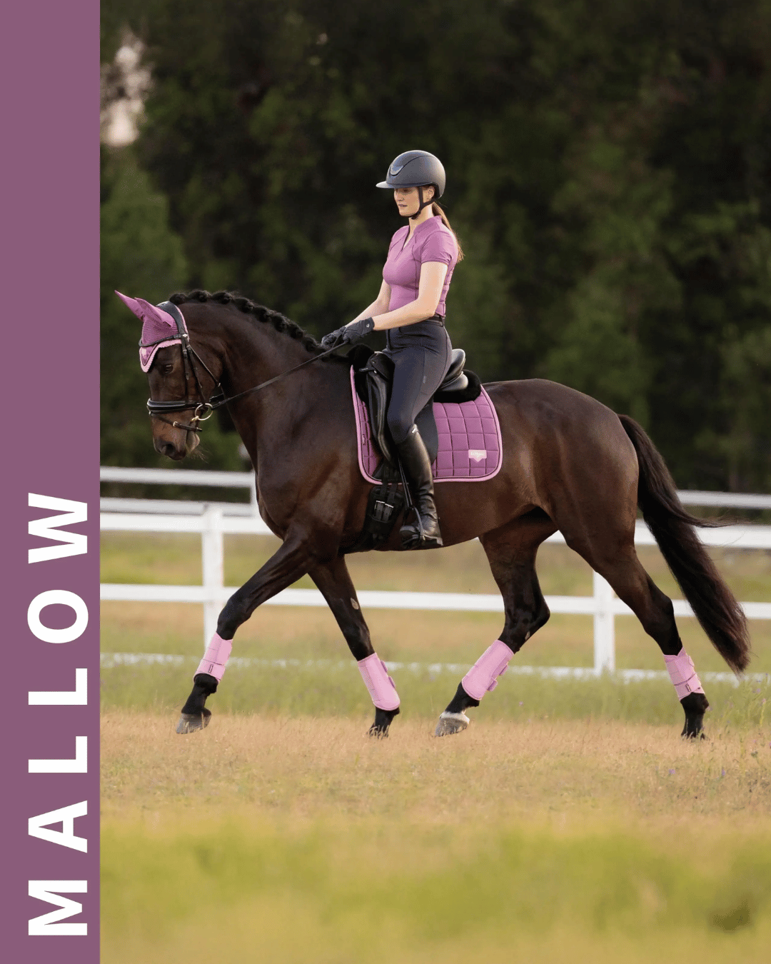 LeMieux Mallow