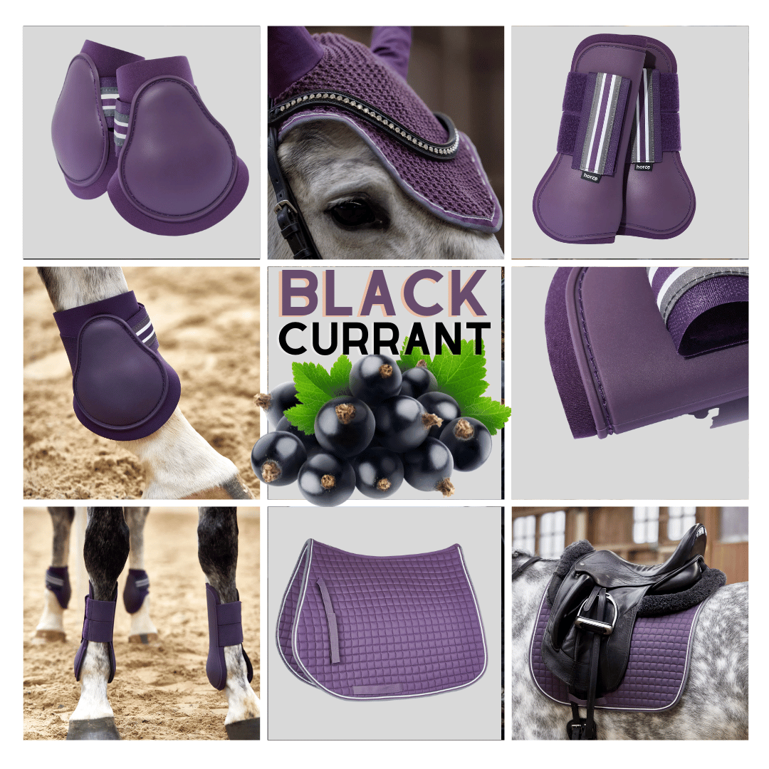 Horze Black Currant