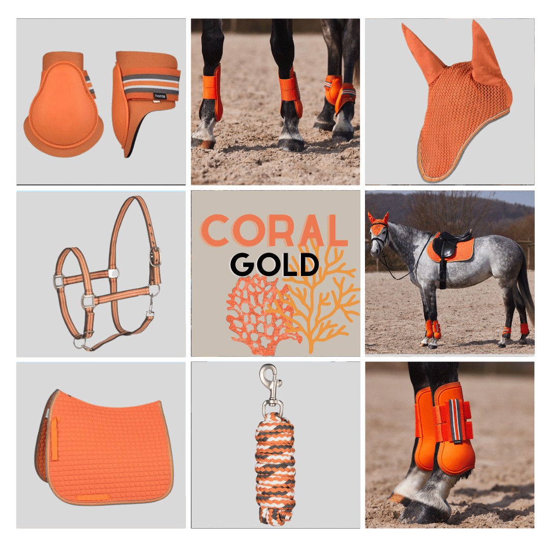 Coral Gold by Horze