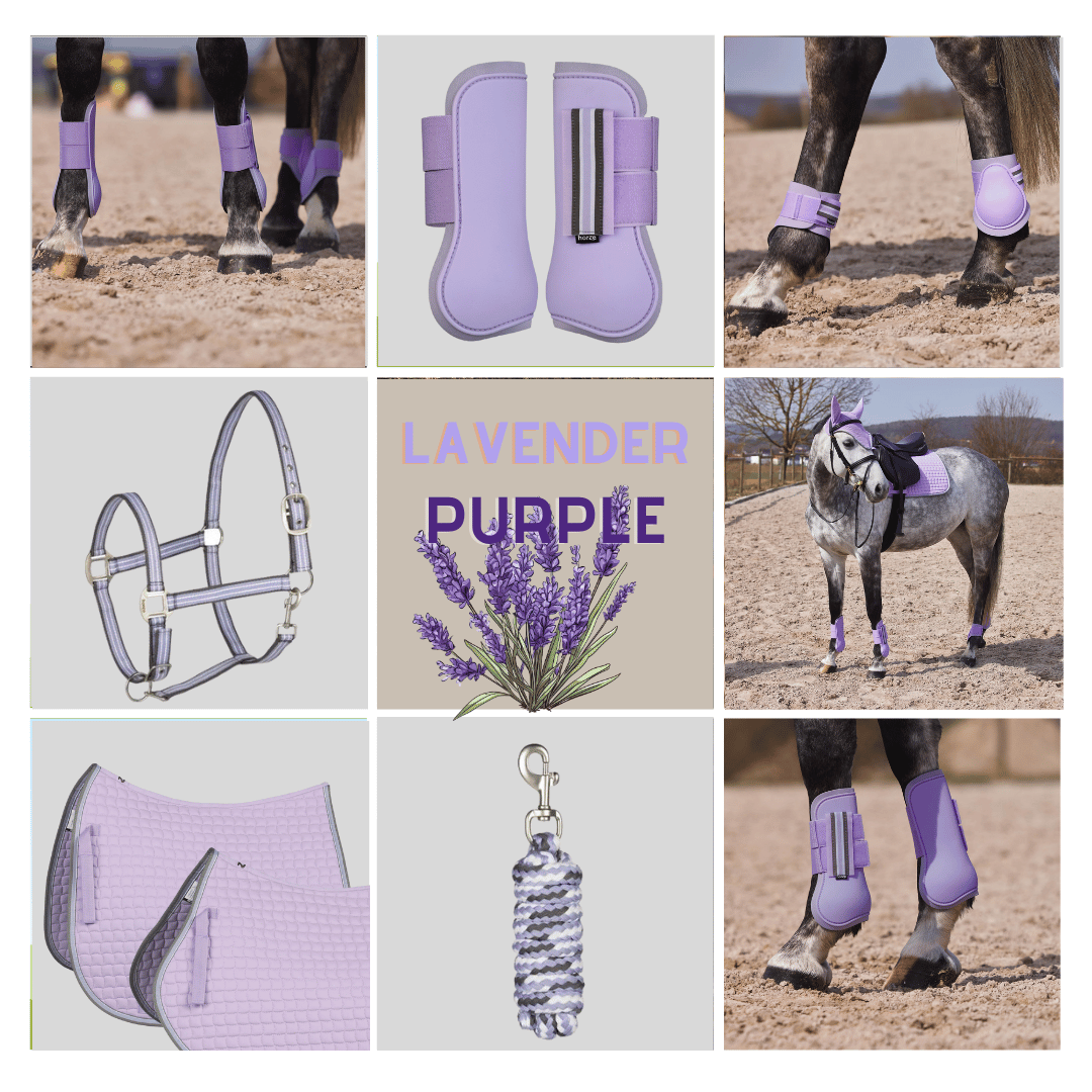 Horze Lavender Purple