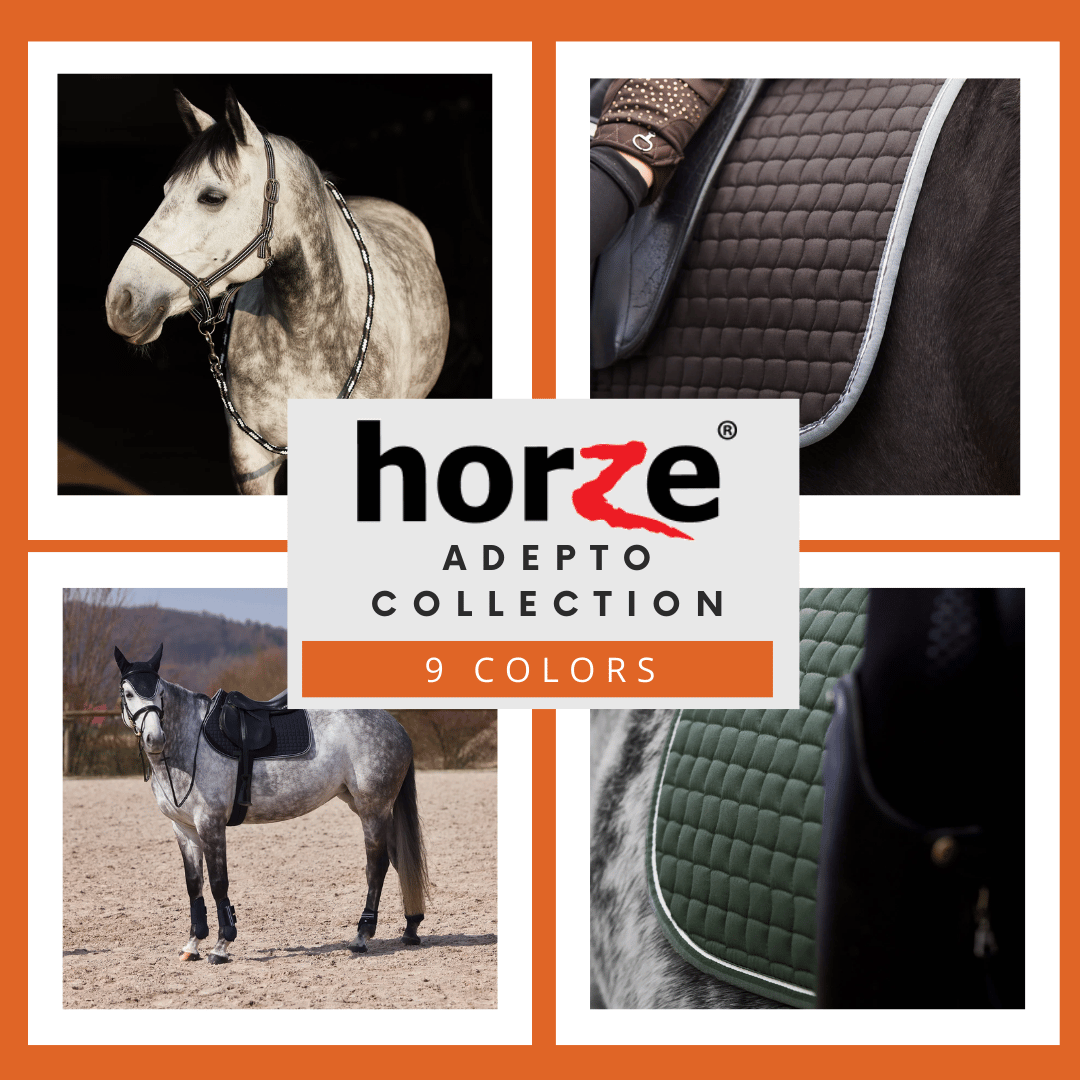 Horze Adepto Collection