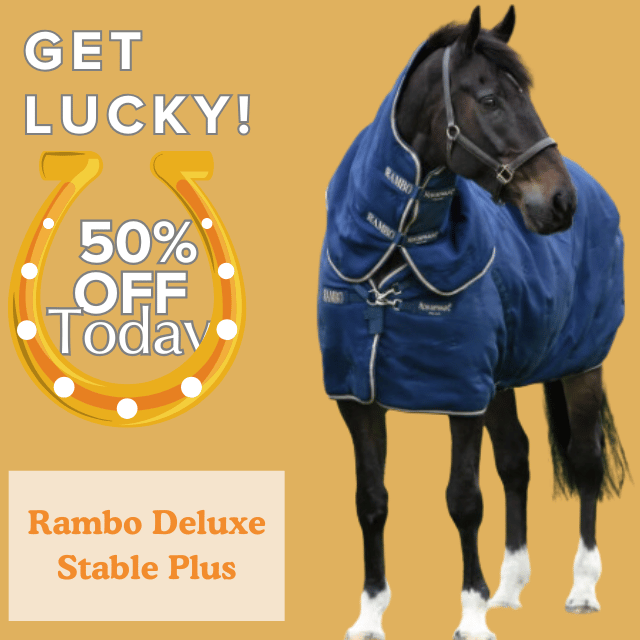Rambon Deluxe Stable Plus