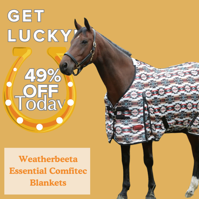 Shop for Weatherbeeta Essential Comfitec Blankets