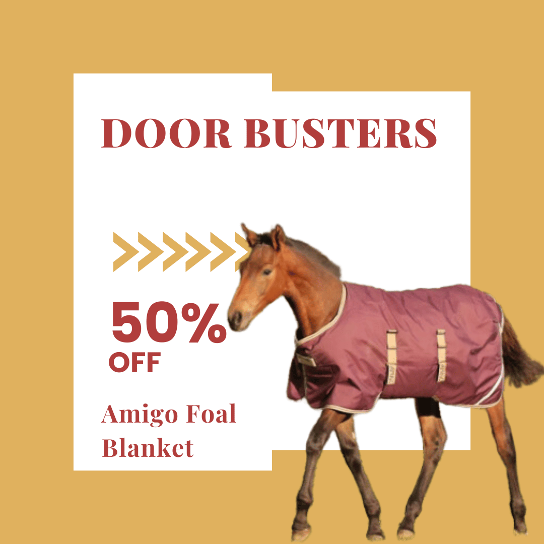 Amigo Foal Blankets