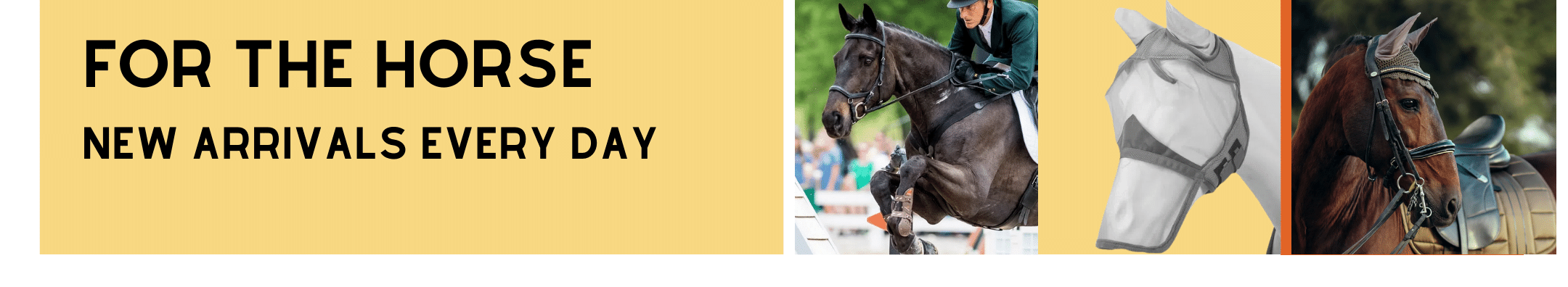 New Arrival for your Horse