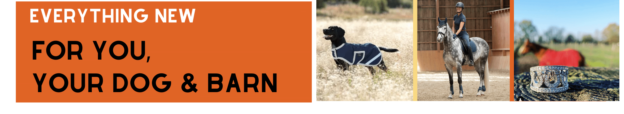 Everything New for You, Your Horse & Barn