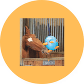 Barn, Stable & Arena Products