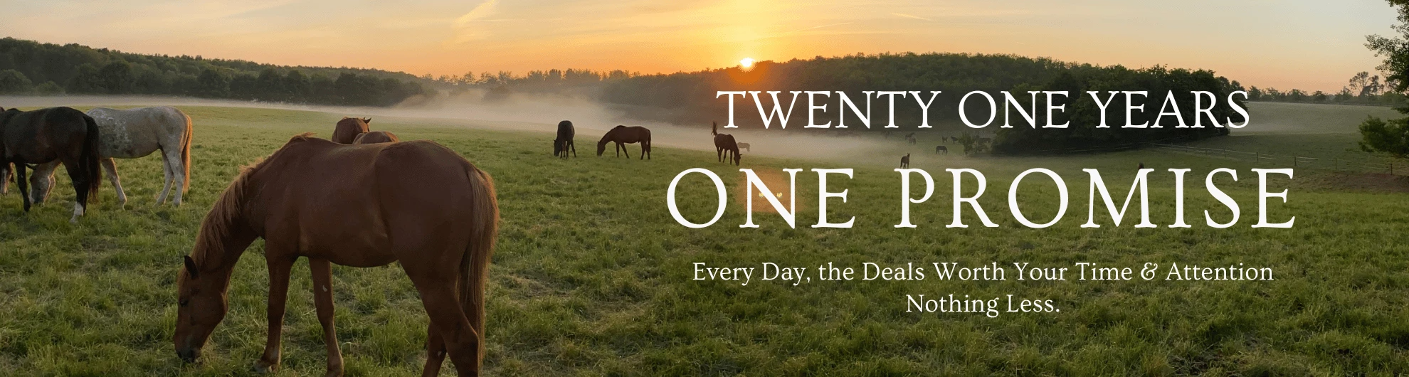 Twenty One Years - One Promise Twenty One Years - One Promise