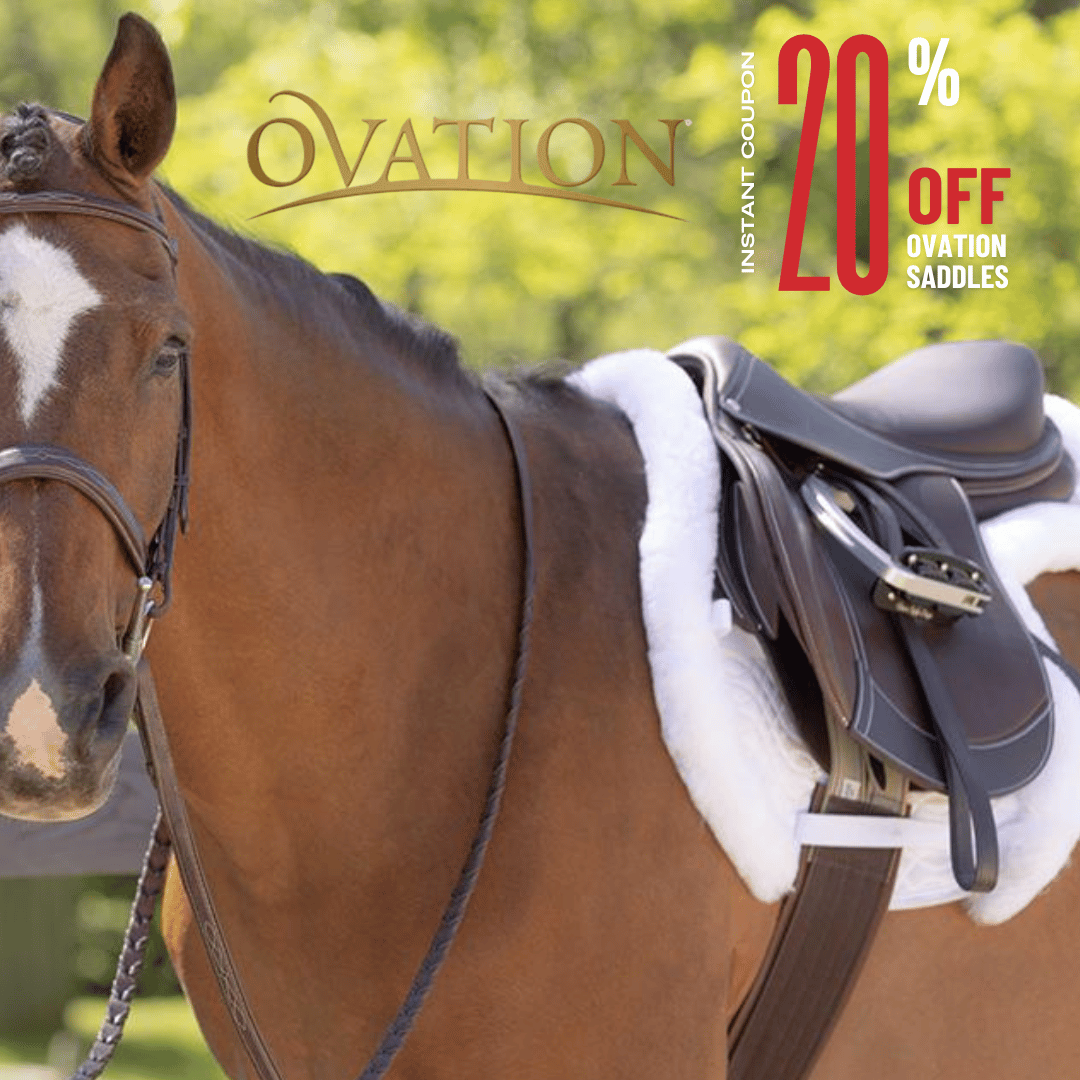 Shop for Ovation Saddles & Tack