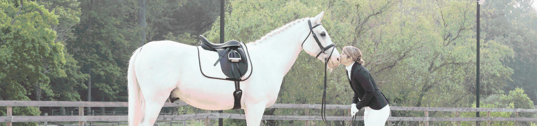 Ovation Horse Tack