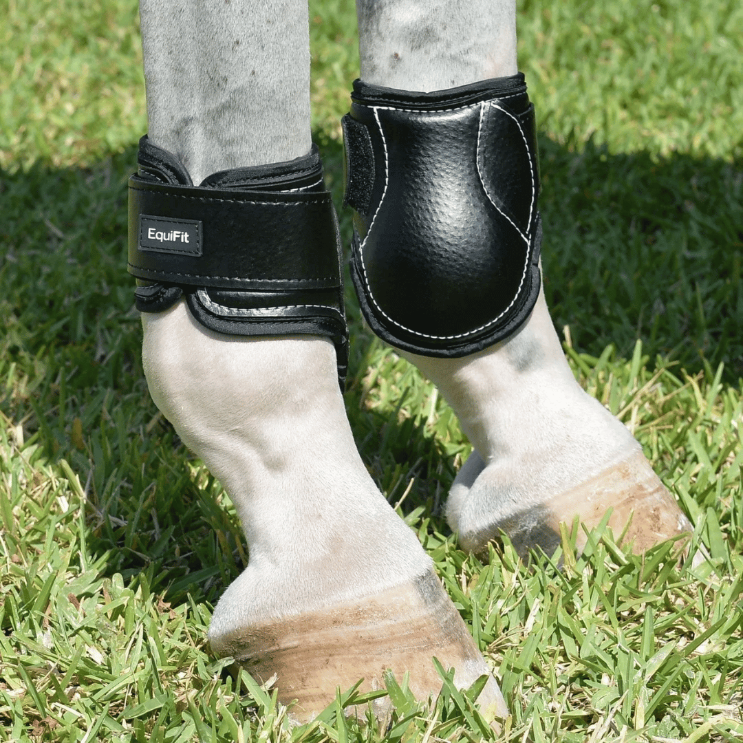 EquiFit
