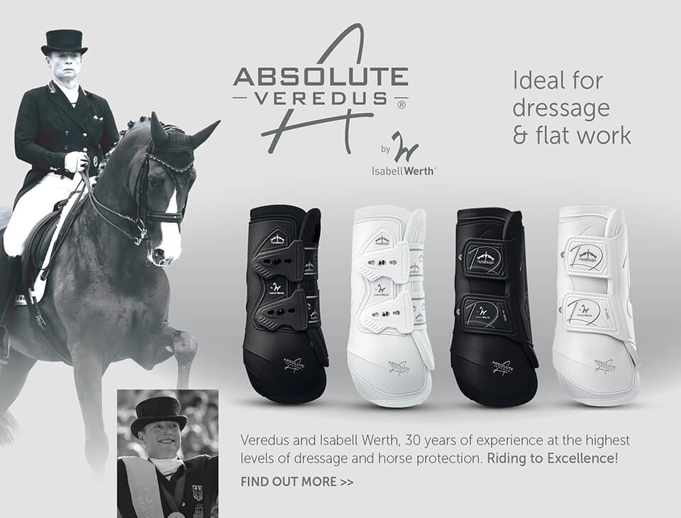 Absolute by Veredus