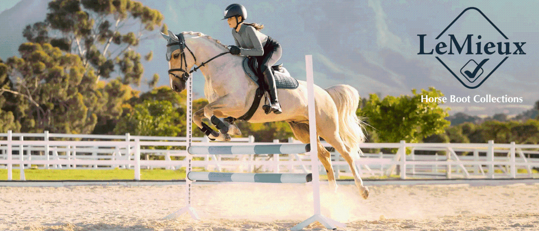 LeMieux Horse Care
