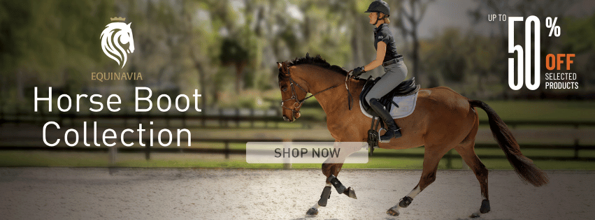 Shop Equinavia Brands Horse Boots & Wraps