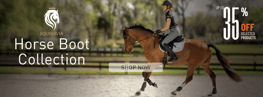 Shop Equinavia Brands Horse Boots & Wraps