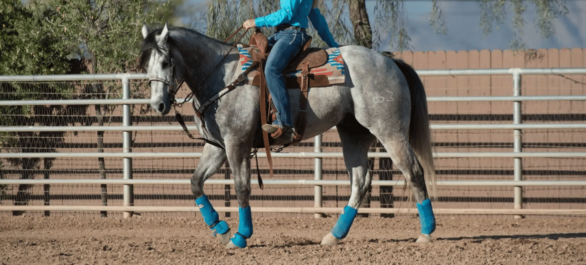 Weaver Horse Boots