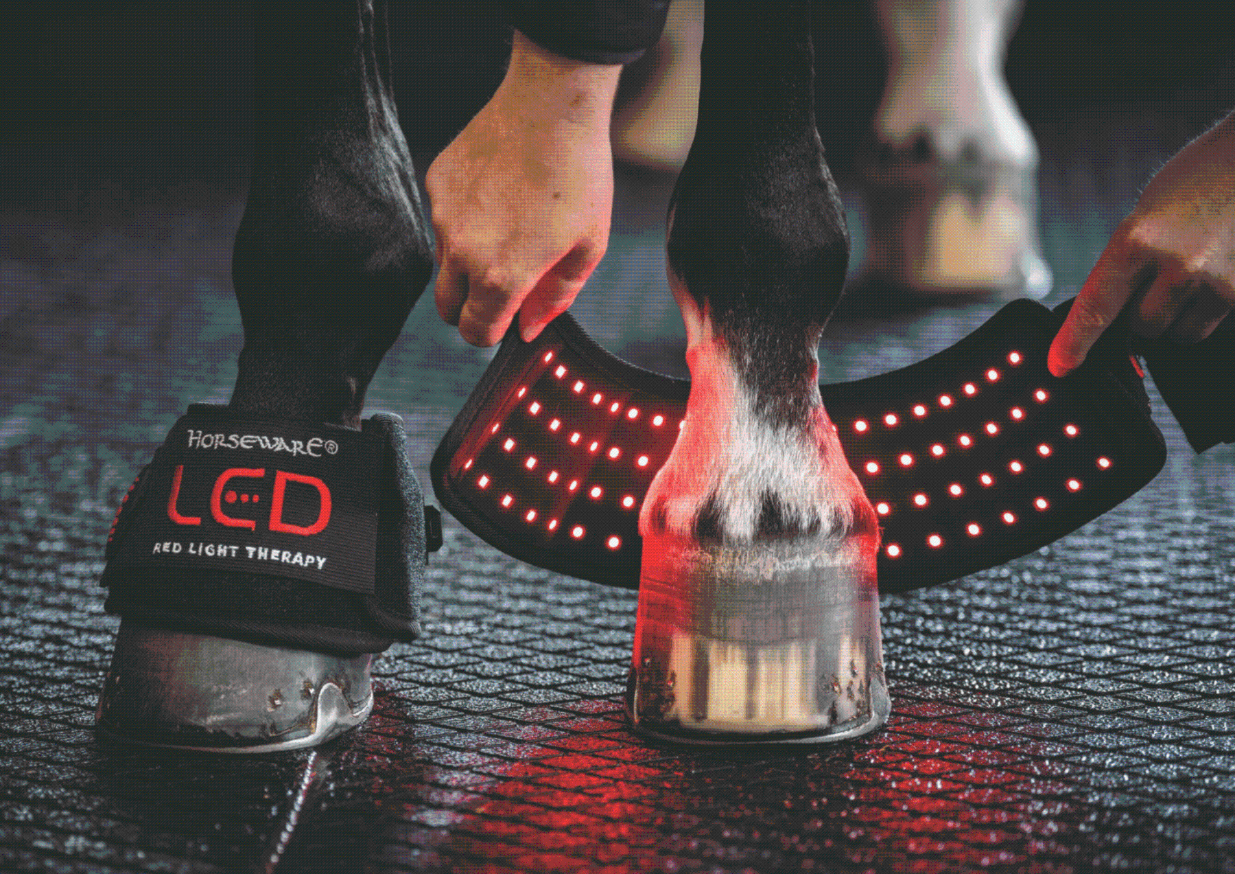 Horseware LED Red Light Therapy