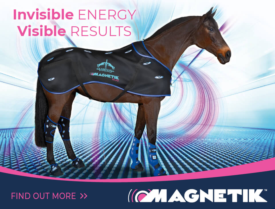 Veredus Magnetik