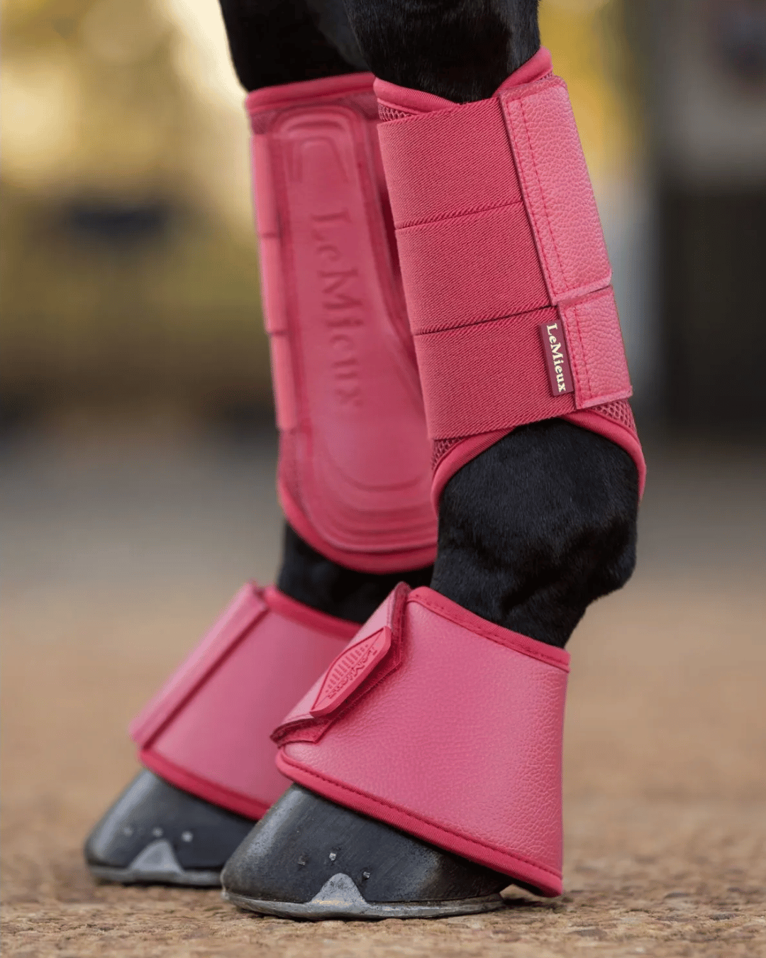 LeMieux Horse Boots
