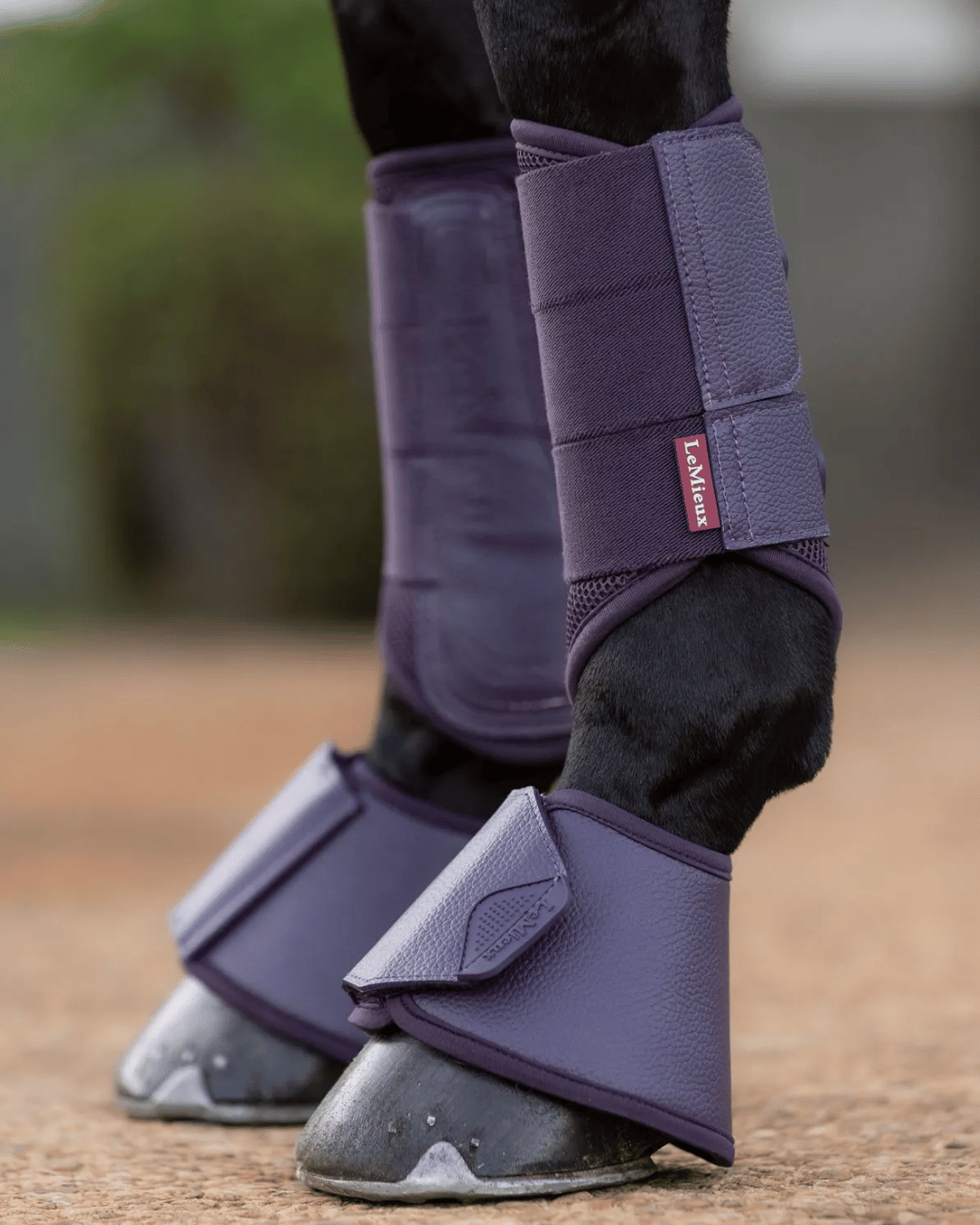 LeMieux Horse Boots