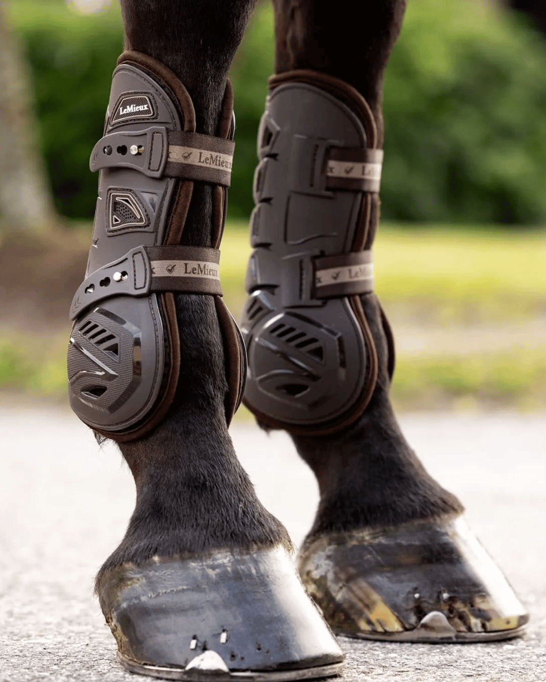 LeMieux Tendon Boots